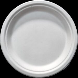 __PAPER PLATE 10 INCH MRP RS 16 (SR 16) DISPOSABLE BOX