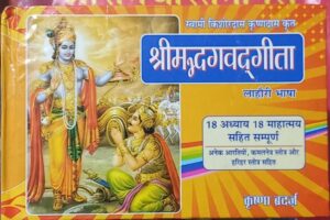 SHRIMAD BHAGWAT GEETA RS 120 (BOX R3)
