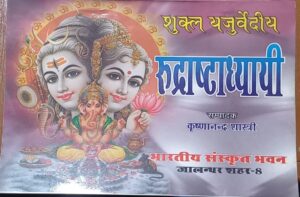 RUDRAASTHI AADHAY MRP 50 KRISHANA NAND SHASHTRI BOX (R-4)