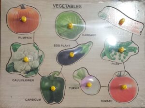 __PIN BOARD VEGITABLES MRP RS 250 G2I3