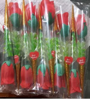 _ROSE STIC BIG MRP RS 20 (RACK A2)