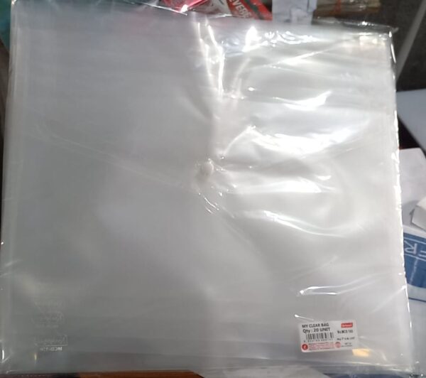 NEELGAGAN BUTTON BAG MRP RS 16 G2L4