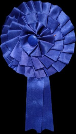 __BLUE BATCH 3 FOUL MRP RS 15 G2H3