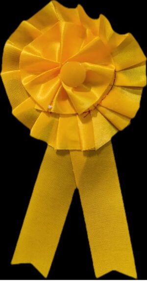 __YELLOW BATCH 2 FOUL MRP RS 15 G2H3