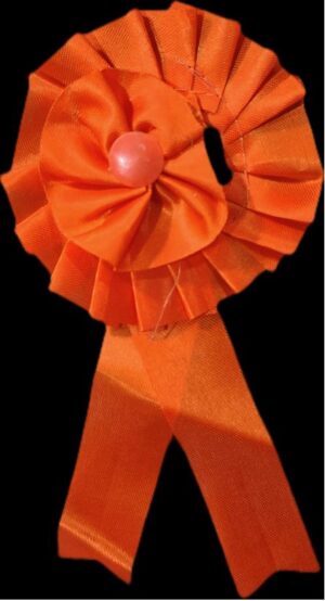 __ORANGE COLOR BATCH 2 FOUL MRP RS 15 G2H3