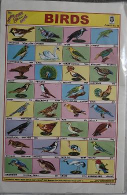 STICKER CHART BIRDS (NO 13 ) MRP RS 10 STACK -1