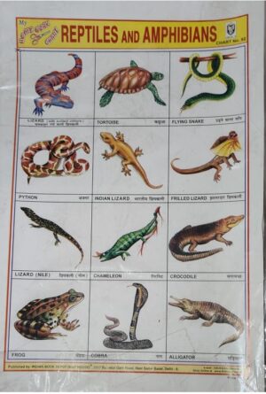 STICKER CHART REPTILES AND AMPHIBIONS (NO 82) MRP RS 10 STACK 2