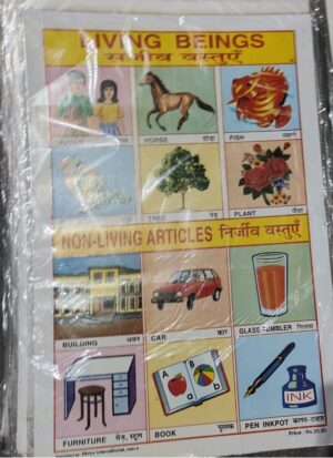 STICKER CHART LIVING AND NON LIVING (NO 59) MRP RS 10 STACK -1