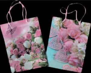 __PLASTIC GIFT BAG SMALL SIZE MRP RS 30 (RACK C4)