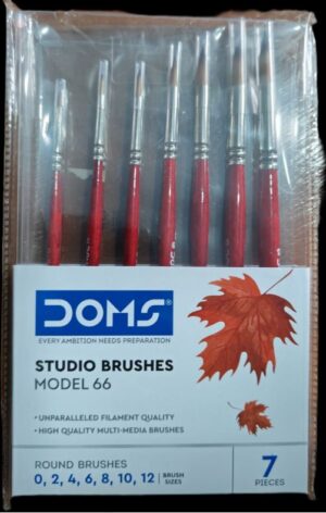DOMS ROUND BRUSH SET MRP RS 250
