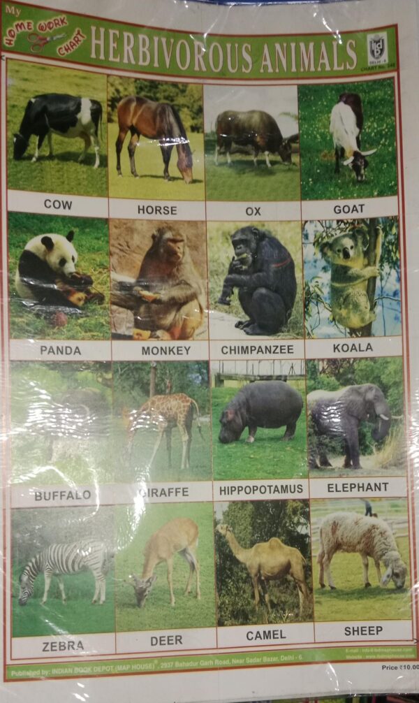 HERBIVORUS ANIMALS STICKER CHART NO 240 MRP 10 STACK 3