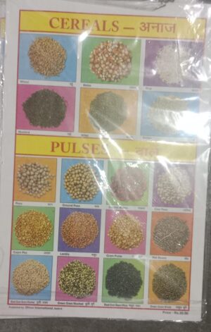 CEREALS AND PULSES STICKER CHART NO 112 MRP 20 STACK 3