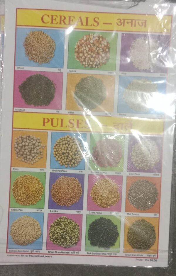 CEREALS AND PULSES STICKER CHART NO 112 MRP 20 STACK 3