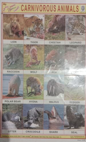 CARNIVORUS ANIMALS STICKER CHART NO 241 MRP 10 STACK 3