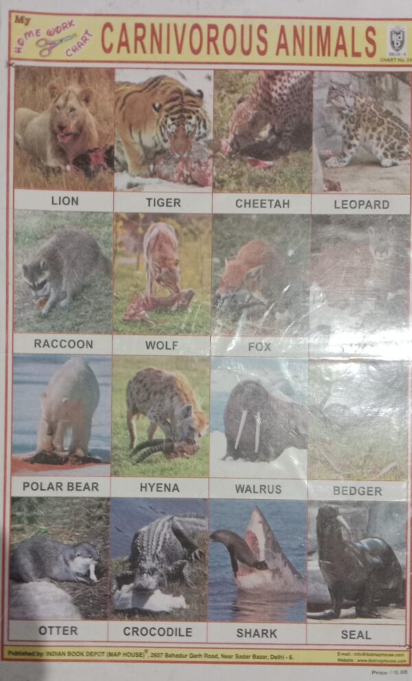 CARNIVORUS ANIMALS STICKER CHART NO 241 MRP 10 STACK 3