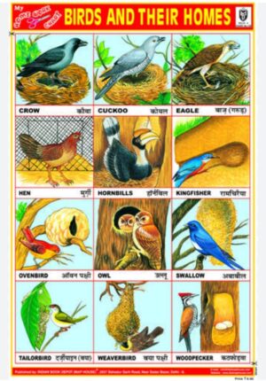 BIRDS AND THEIR HOMES CHART NO 138 MRP 10 STACK 3