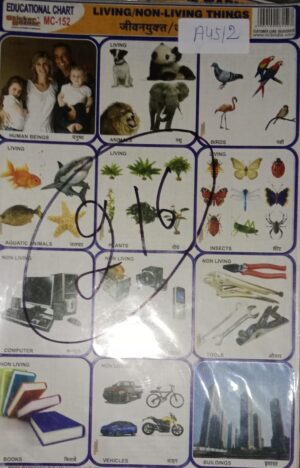 LIVING OR NON LIVING STICKER CHART NO 216 MRP10 STACK 3