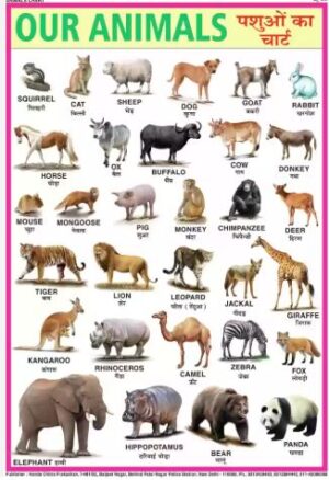 PVC LAMINATED CHART OUR ANIMALS MRP RS 125 30 X 40 MRP RS 150