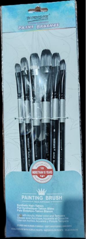 _WORRISON PAIN BRUSH SET MRP RS 225 (G2E4)