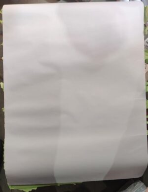 _ROUGH TRACING PAPER MRP RS 6