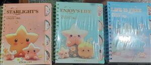 NOTEBOOK MRP RS 250 G2K3