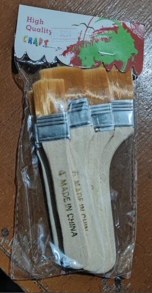 _ FLAT BRUSH SET OF 5 PCS MRP RS 160 G2E4