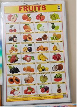 LAMINATED FRUIT CHART 12 X 18 MRP RS 65 G2K4
