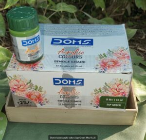 DOMS ACRYLIC / FABRIC COLOR SAP GREEN MRP RS 25 G2M2