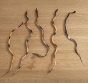 _SNAKE PLASTIC MRP RS 40 (ANIMAL BOX)