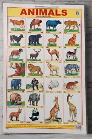 LAMINATED ANIMALS CHART 12 X 18 MRP RS 60 G2K4