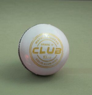 _CLUB 2 PCS LEATHER BALL MRP RS 350 (RACK D4)