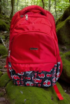 HARMONY SCHOOL BAG HALF PRINT MRP RS 1075