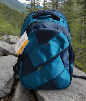 HARMONY SCHOOL BAG CHESS LARGE MRP RS 875