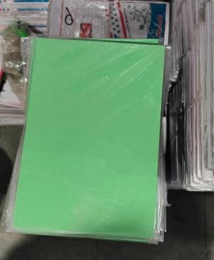 ILEX PASTEL SHEET PARROT GREEN MRP RS 75
