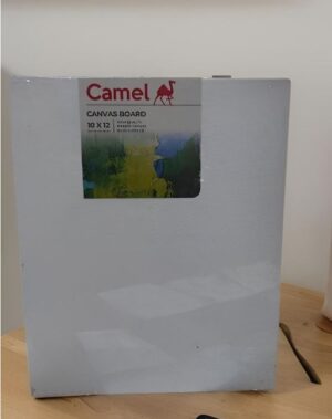 CAMEL CANVAS BOARD 10 X 12 MRP RS 100
