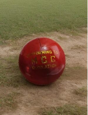 _SP CRICKET LEATHER BALL 4 PCS MRP RS 400