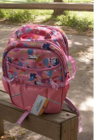 _HARMONY SCHOOL BAG CHARMY MRP RS 1125