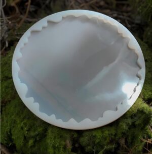 Round metal tart pan with a fluted edge, viewed from above, resting on moss.