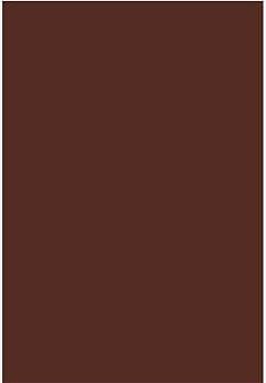 Solid brown rectangle color swatch for a color sample point of reference.
