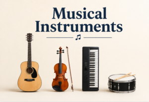 MUSICAL INSTRUMENTS