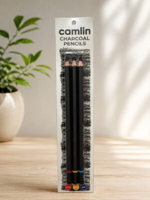 Boxed Camlin charcoal pencils standing upright on a wooden surface, with three visible pencils inside the packaging